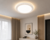 Griestu lampa LED 8367/24W*2
