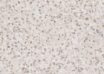 Galda virsma "Terrazzo cassata" 2m/28