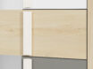 Drop 03-01 Virsbūve: Fjorda dižskābardis/ Priekš: Priekšpuse: balta + Fjordas dižskābardis/Insets: pelēks platīns – grāmatu plaukts - Image 6