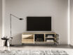 Barnee 04 Lindberg Oak – RTV 2D2S - Image 4