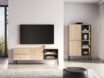 Barnee 04 Lindberg Oak – RTV 2D2S - Image 10