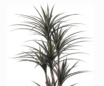 Mākslīgais koks podā  180cm ''JWT3787'' - Image 3
