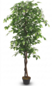 Mākslīgais koks podā  180cm ''JWS3614''