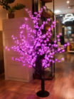 LED gaismas dekors-Koks FZ-1.5 SA