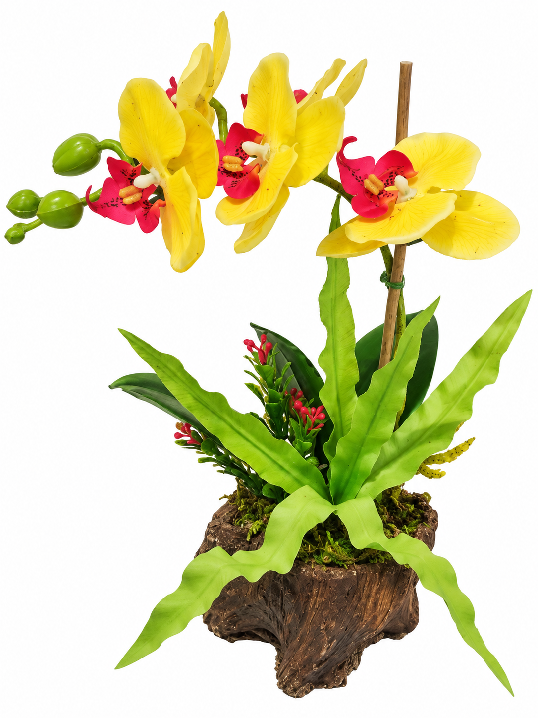 Mākslīgā ORHIDEJA F598 Mākslīgā ORHIDEJA F598 DZE - Image 1