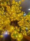 Световой LED декор-Дерево FZ-2.5 DZ — изображение 4